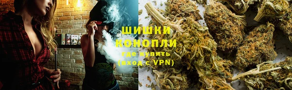 МДПВ Нижний Тагил