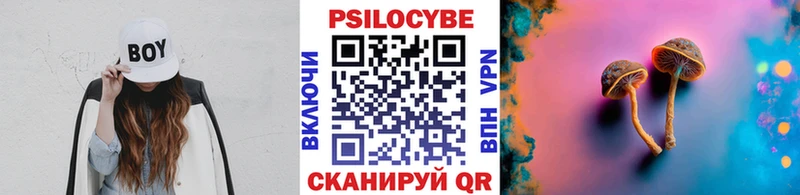купить наркотик блэк спрут ссылки Галлюциногенные грибы Magic Shrooms Новотитаровская